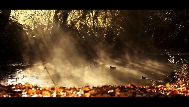 Forever Main Album Piano Theme, Piano-Composer / Musical Director: Patrick Stafford.