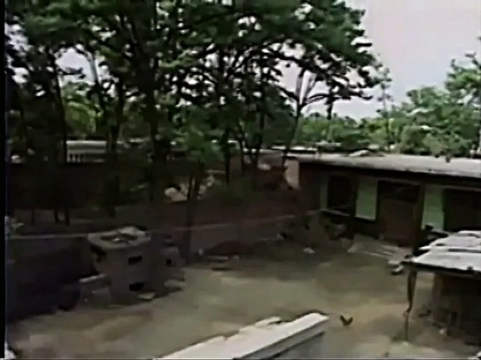 北坦村の悲劇