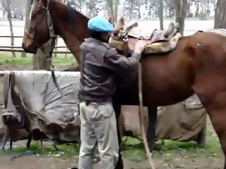 Caballo Dos - La Asuncion 54