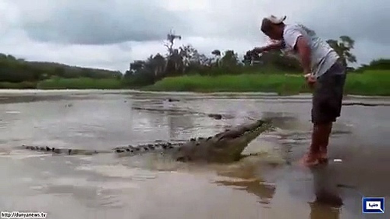 Man Almost Gets Attacked By Crocodile -@_ Must Watch