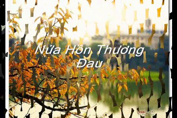 Nửa Hồn Thương Đau (Pre 75)