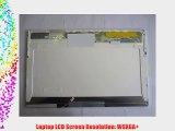 DELL VOSTRO 1500 LAPTOP LCD SCREEN 15.4 WSXGA  CCFL SINGLE (SUBSTITUTE REPLACEMENT LCD SCREEN