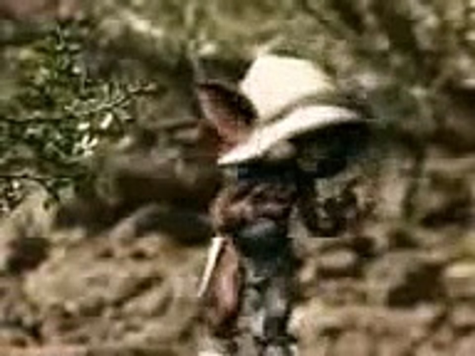 "cuidado cuidado cuidado con  La viborita"