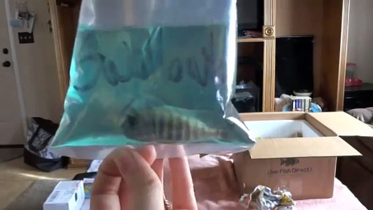 Live Fish Direct Unboxing