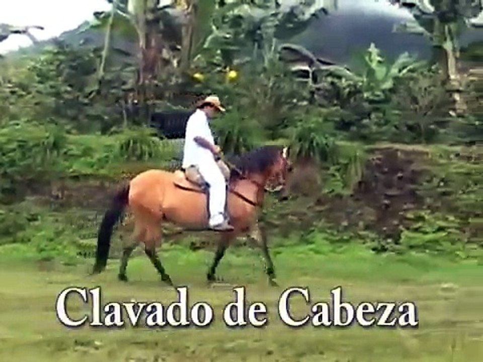 CONJUNTO CABEZA CUELLO