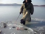 Smelt ice fishing (Russia, Far East, Vladivostok)