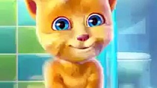 Funny Cat Song
