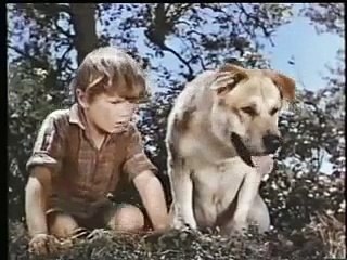 Closing To Mickey Mouse & Donald Duck Cartoon Collections: Volume 2 VHS(1981)