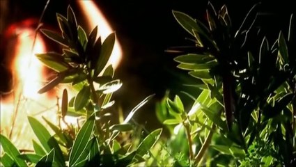 Lilith - Die erste Frau Adams / Religion / Bibel