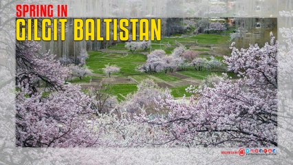 Spring In Gilgit Baltistan