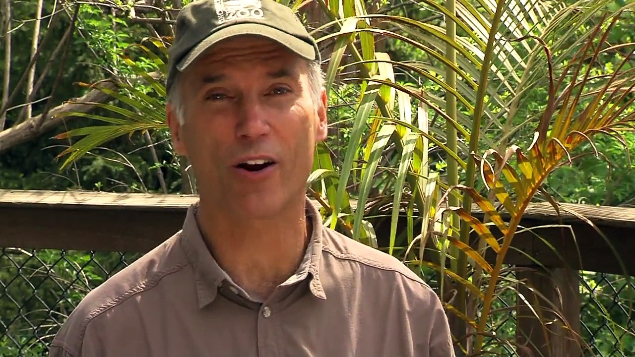 Zoo Babies Sweet 16 - Cincinnati Zoo