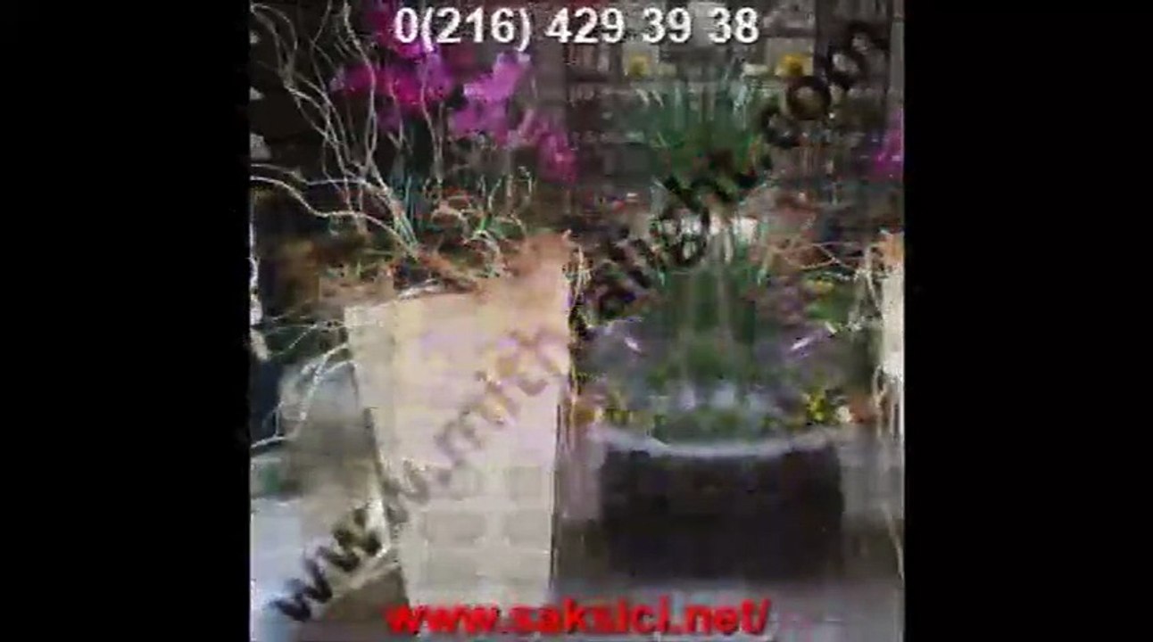 Saksı Decoratime