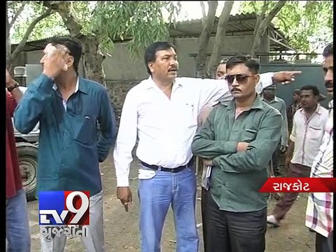 292 rescued stray cattle go missing from hostel, claims Congress - Tv9 Gujarati