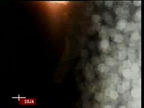 Bootsy Collins - Funk Express Card