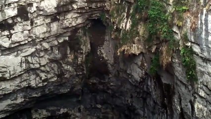 Sótano de las Golondrinas al amanecer (Cave of Swallows).