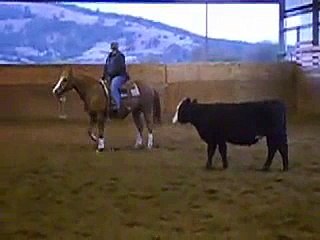 Zee Redman finished cutting horse for sale Portland Oregon