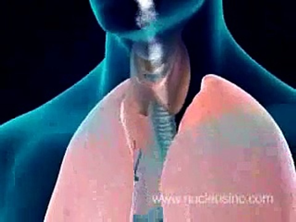 Smoker's Lungs