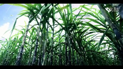 Beautiful Chinese Music【1】Traditional【Dream Water Village】