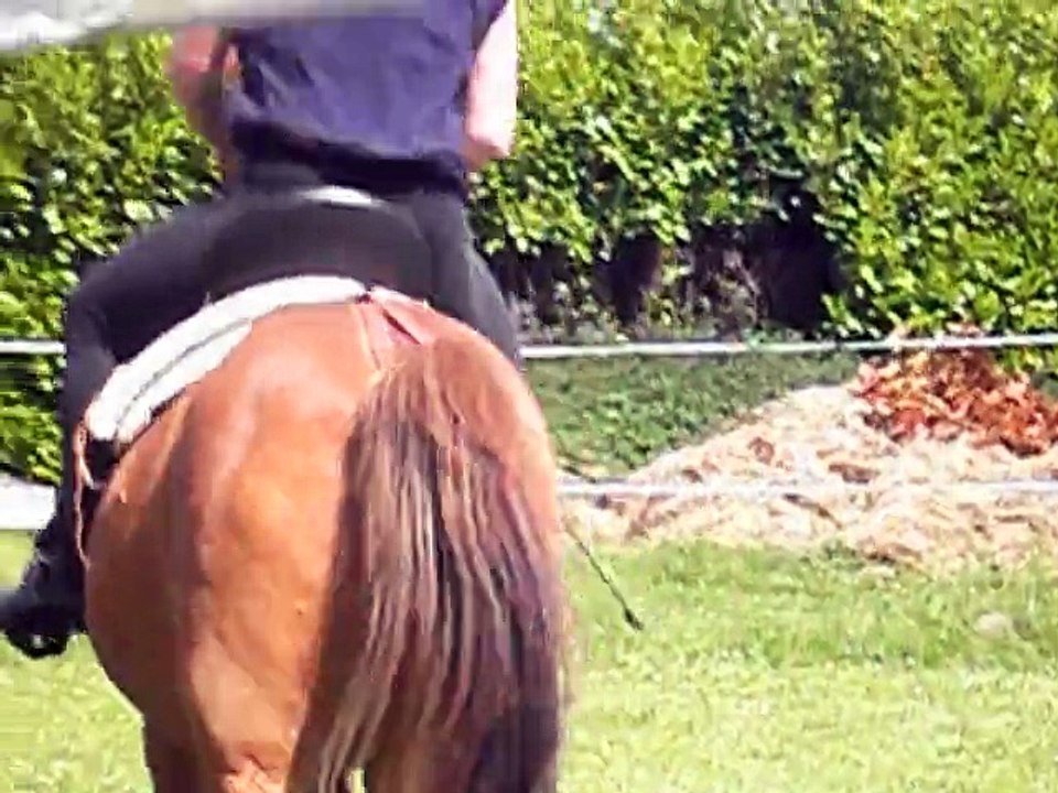 Galop Vencido