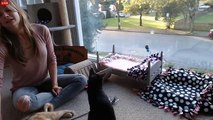 Tiny Kittens Shelly visits teens and mamas