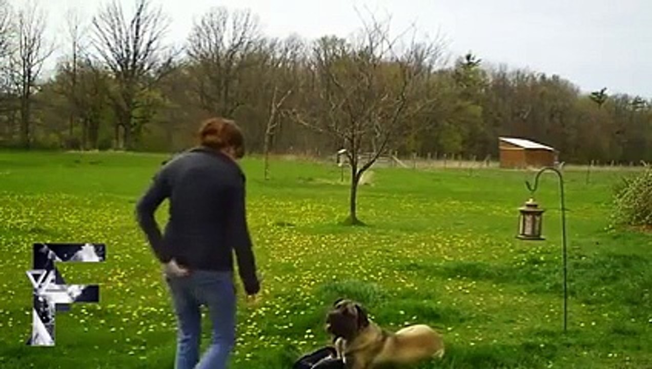 Funny Bloopers