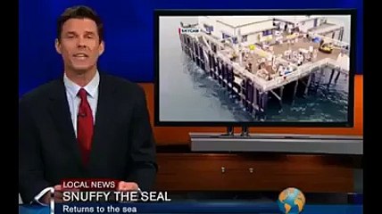 Snuffy the seal