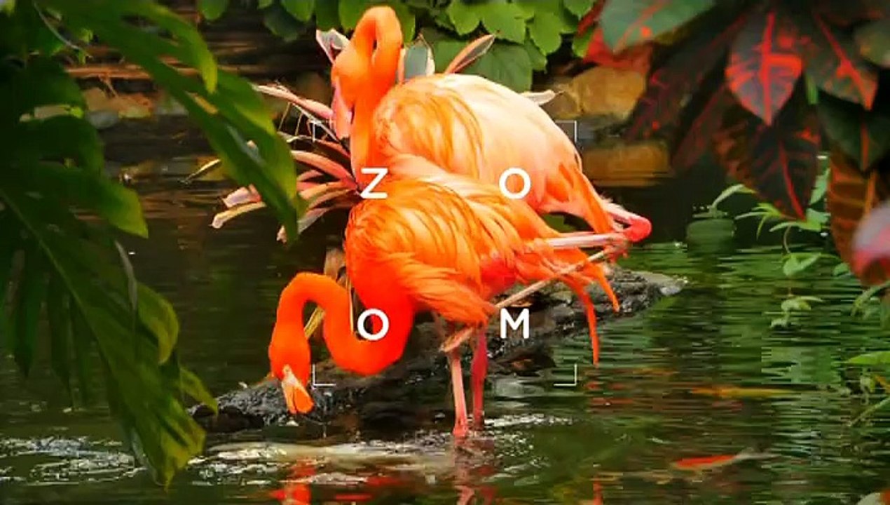 Odhalení  Konspirační spisy I 15