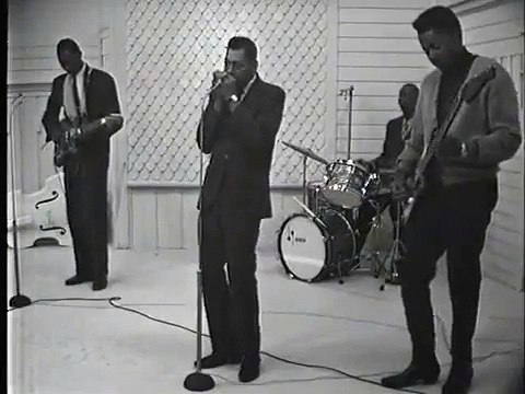 Hound Dog Taylor & Little Walter - Wild About You