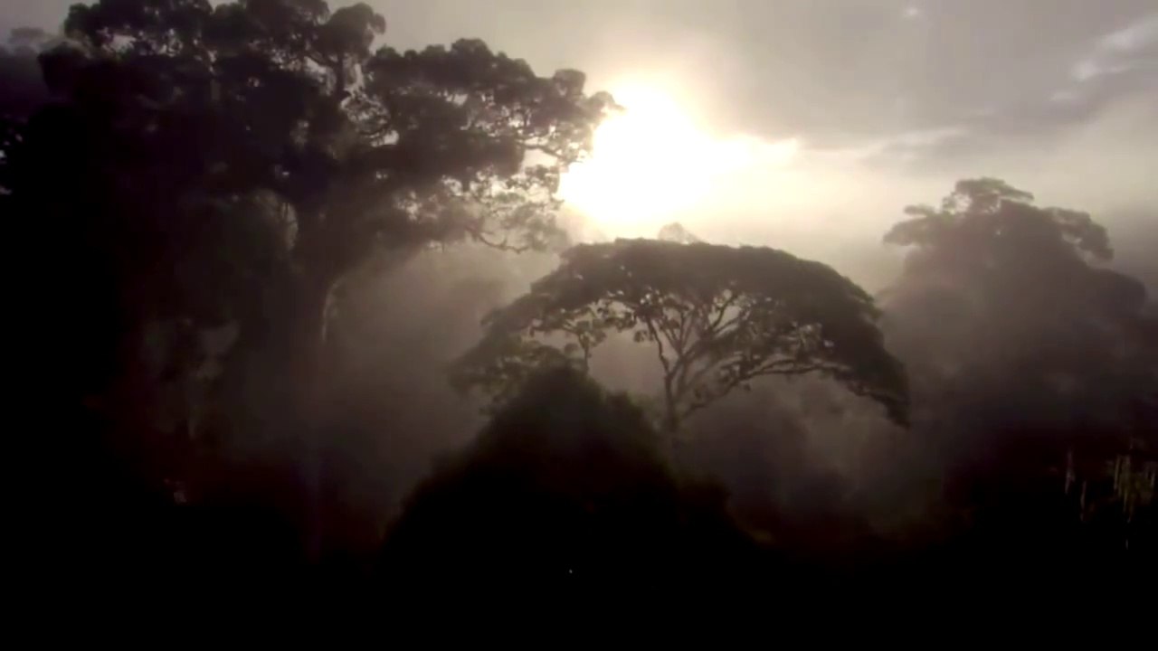 Élévation de Charles Baudelaire