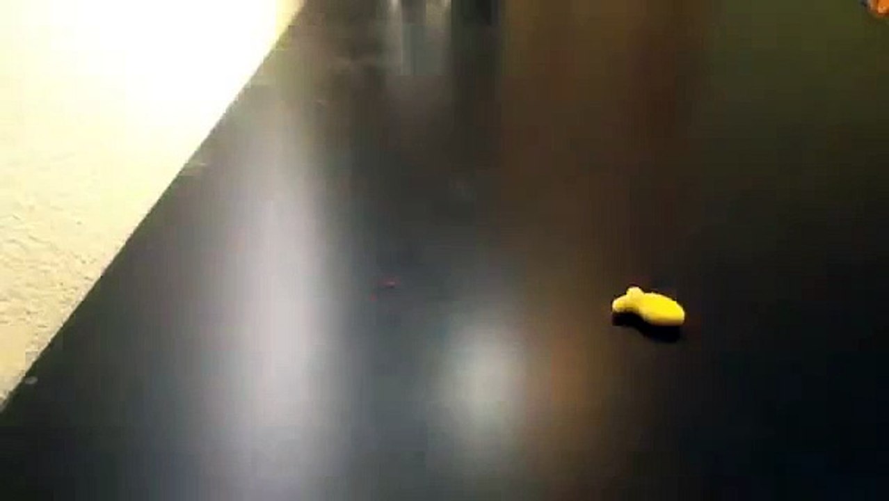 CANNIBALISM