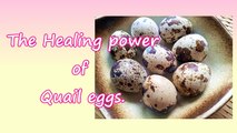 HOW TO EAT raw Quail eggs-Japanese food and its healing power,OkinawaMiracleDiet,japanese food,