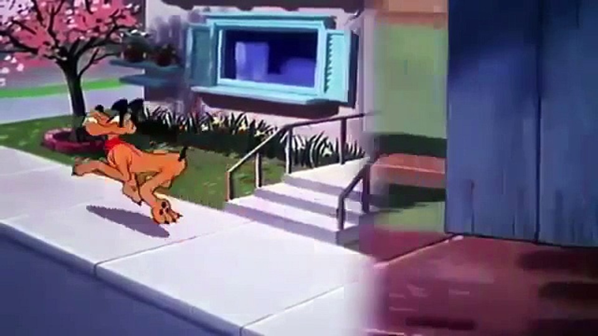 Disney's Pluto - Pluto Purchase (1948) - video Dailymotion