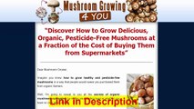 Mush Room Growing 4 You Review - How To Grow Organic Mushroom At Home With Step-by-step Videos