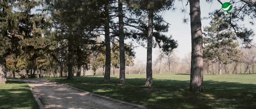 Wael Kfoury ... Al Gharam El Moustahil - Video Clip _ وائل كفوري ... الغرام المستحيل - فيديو كليب