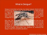 Dengue Awareness Presentation www.jeevanrakshak.org
