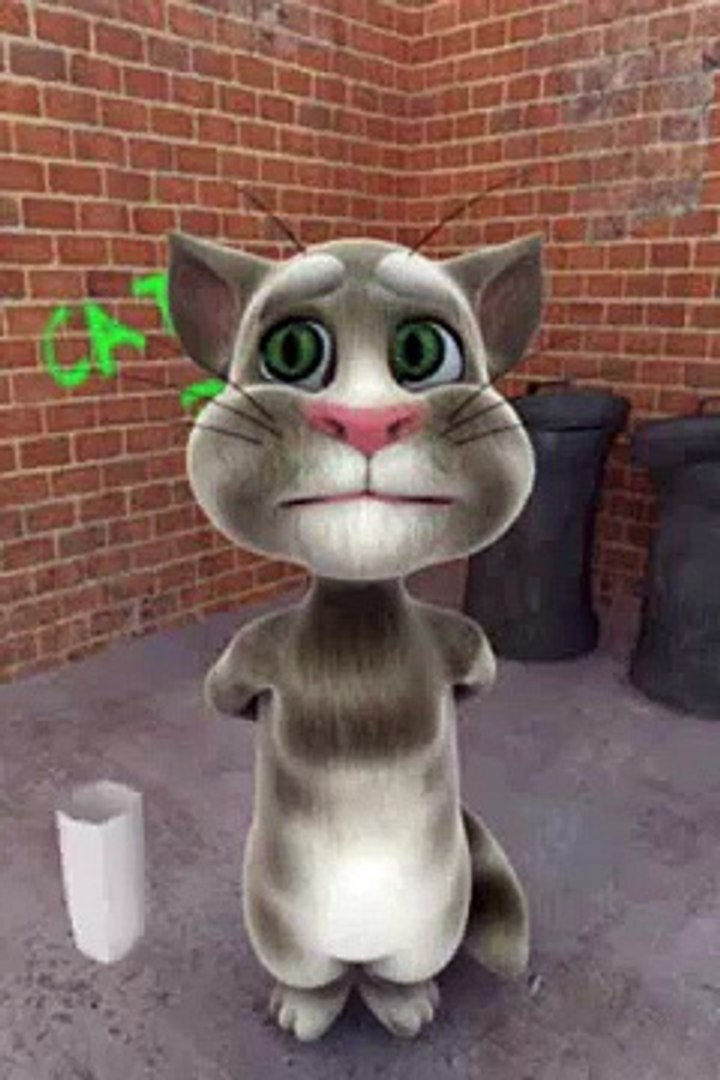 Chat Rigolo Video Dailymotion