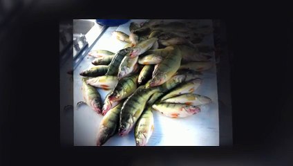 lake erie fishing report Cleveland