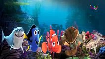 Finding Nemo Finger Family Cartoon Animation Nursery Rhymes For Children