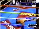 Floyd Mayweather knockouts collection 2015