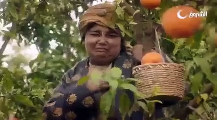 السلطان عاشور العاشر الحلقة 1 - اعلان الحرب -Sultan ACHOUR 10 Episode 1