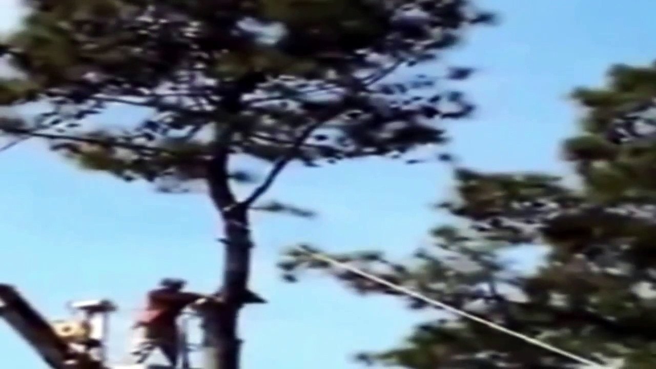 Epic WIN Compilation ★ June 2015 ★