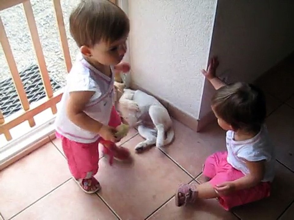 MVI_1128 .deux jumelle et le chien.