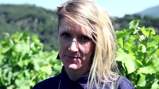 Beautiful Art Graffiti Street Art and Wine full video