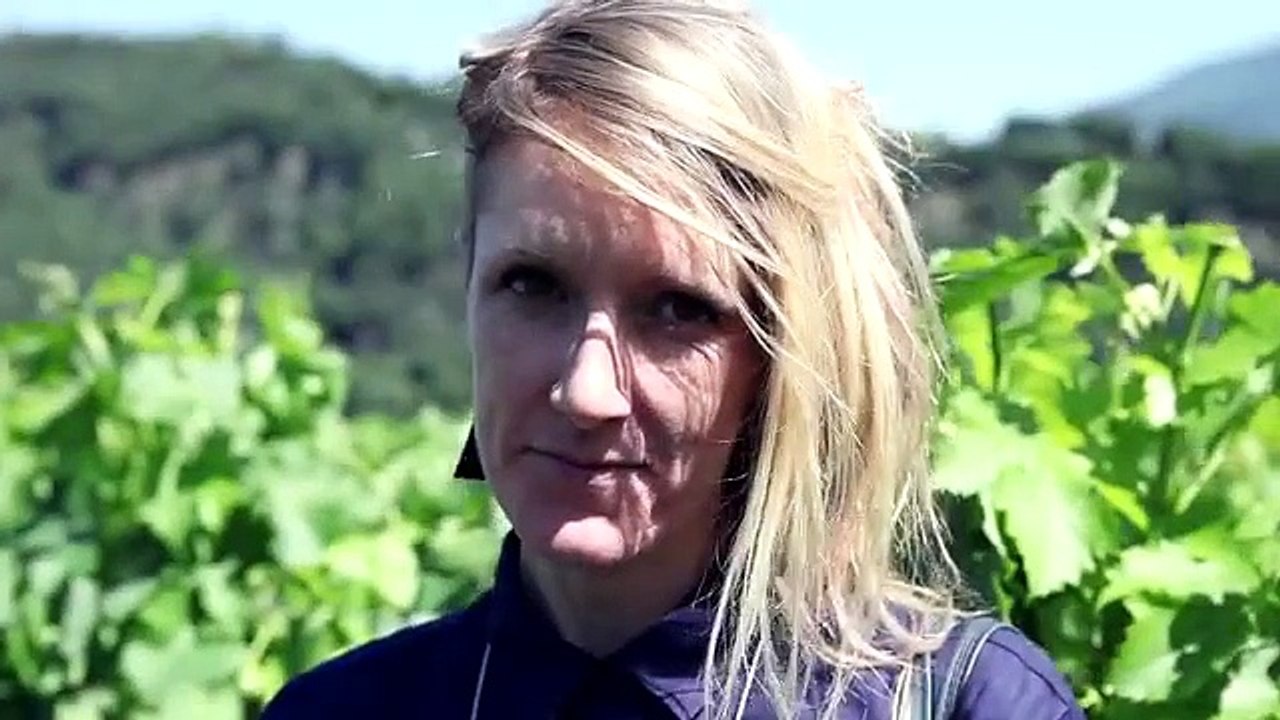 Beautiful Art Graffiti Street Art and Wine full video