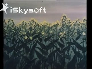 Watership Down - Bright Eyes