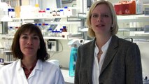 Vom Studium in den Beruf: Zwei Chemikerinnen erzählen