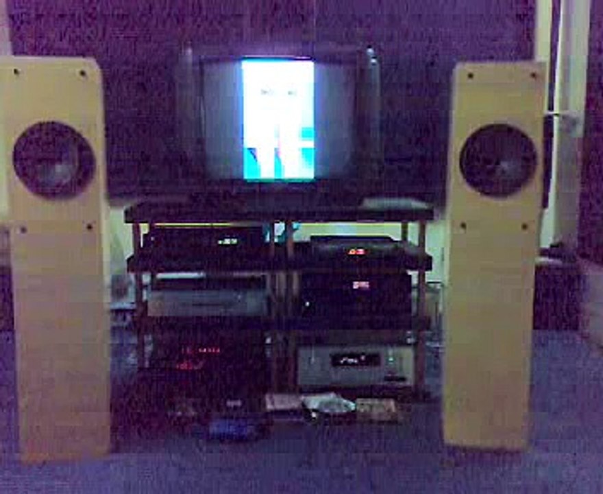 visaton B200 solo 100