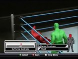 Smackdown vs. Raw 2009 - Create A Finisher Creations