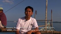 Smallest baby whale shark discovered in Donsol