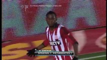 Todos los goles. Fecha 1 - Primera división. Torneo Inicial 2013. Fútbol Para Todos.